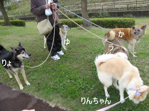img20091129_1.jpg