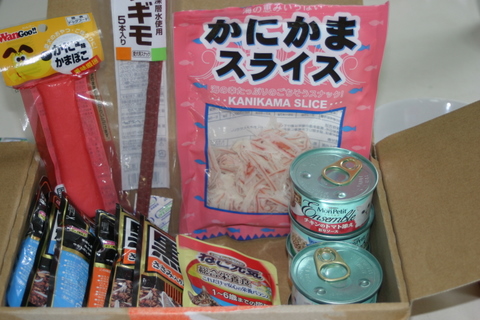 img20100202.jpg