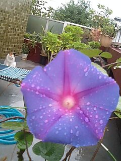 img20081011.jpg