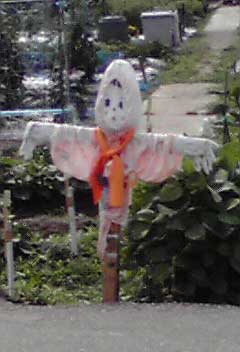 img20090703.jpg