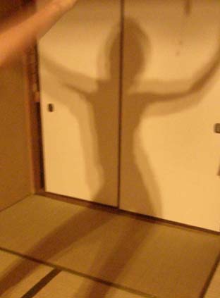 img20090604_1.jpg