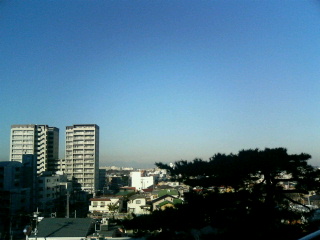 img20070110.jpg