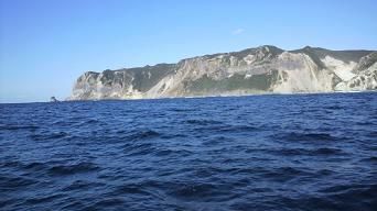 niijima 001