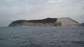 niijima 002