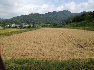 IMG_0533