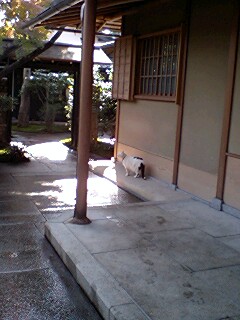 img20071128.jpg