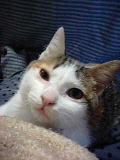 img20091228_2.jpg