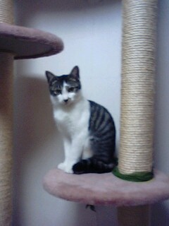 img20091228.jpg