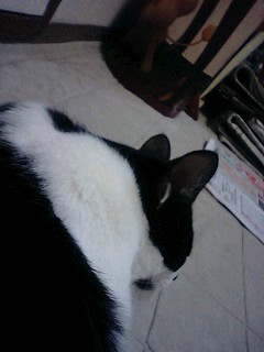 img20100127.jpg