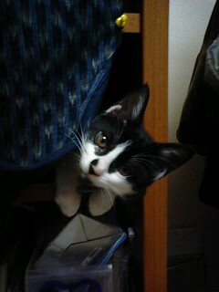 img20090706.jpg
