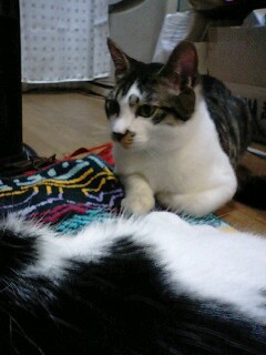 img20100124.jpg