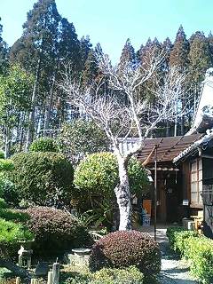 img20060206.jpg