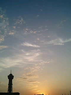 img20061117.jpg