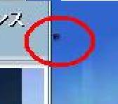 Maple0001_1.jpg
