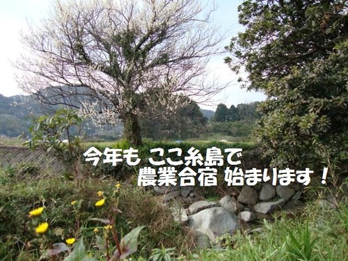 DSC00627-2