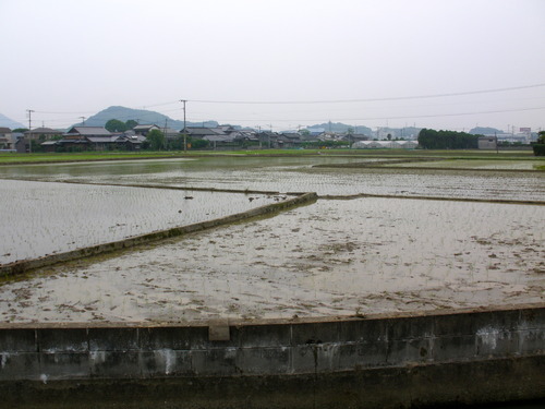 P6050091