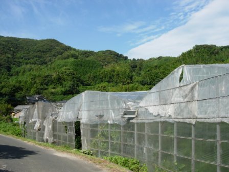 dscn1360.jpg