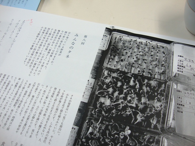 dsc00390-2.jpg