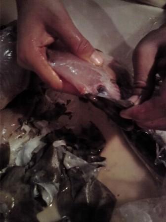20090528234401_1.jpg