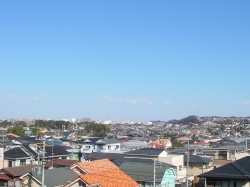 img20100119_1.jpg