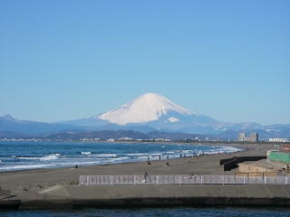 img20100208.jpg