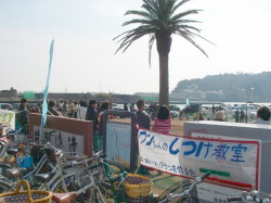 img20100208_1.jpg