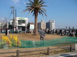 img20100208_2.jpg
