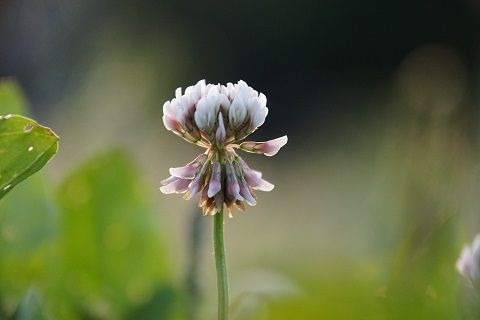 102