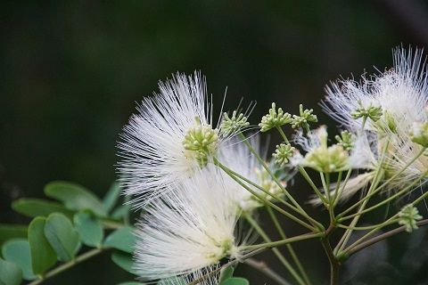 061