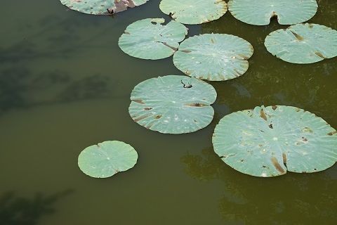 017