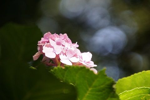 057
