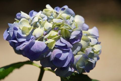 087