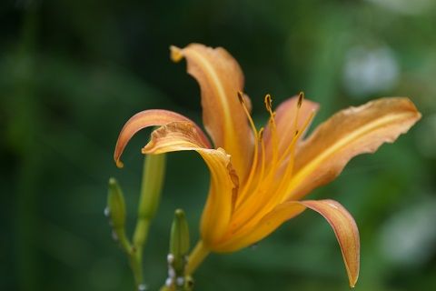 042