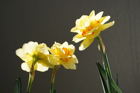 028