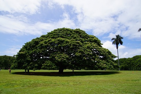 208