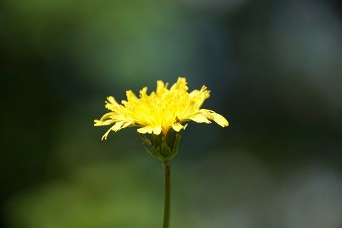 079