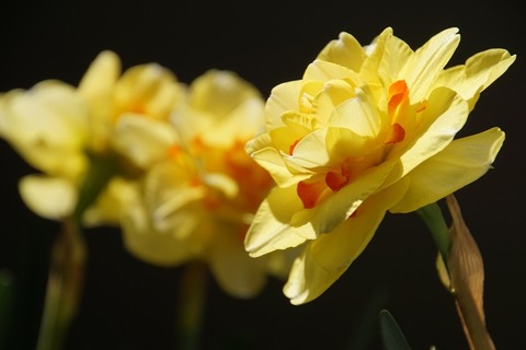 046