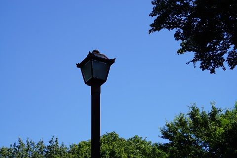 043