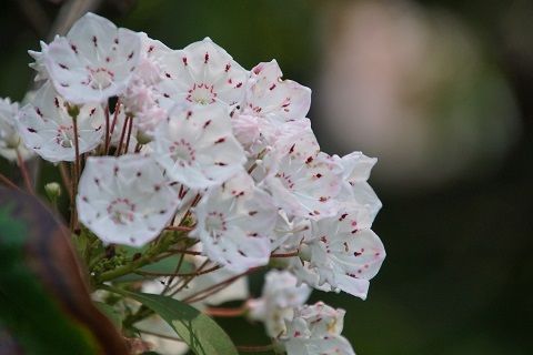 048