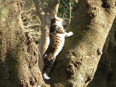 img20100123_7.jpg