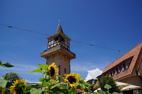 1968