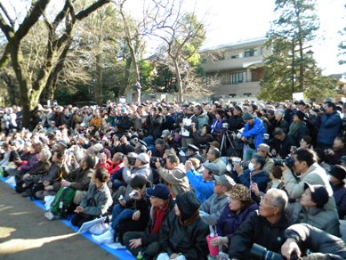 img20100123.jpg