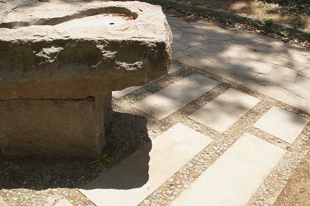 DSC00681