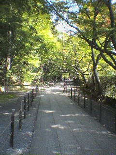 img20061022_1.jpg