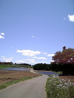 070520_113354.jpg