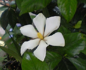 060621_105248_M.jpg