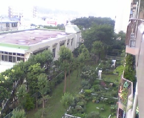 060714_052435_M.jpg