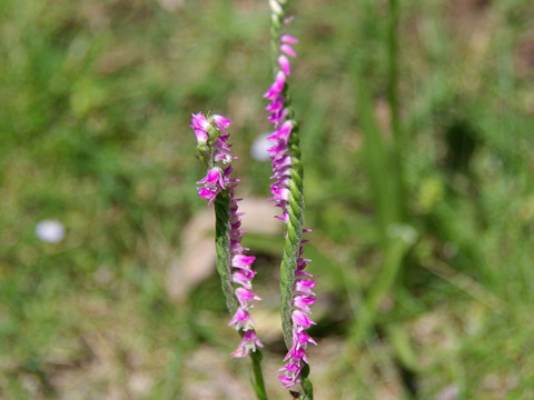 img20080629_1.jpg