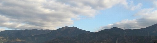 img20080823_1.jpg