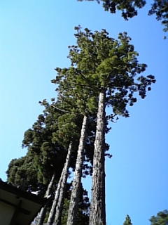 061125_141735.jpg